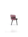 Coulisse Armchair